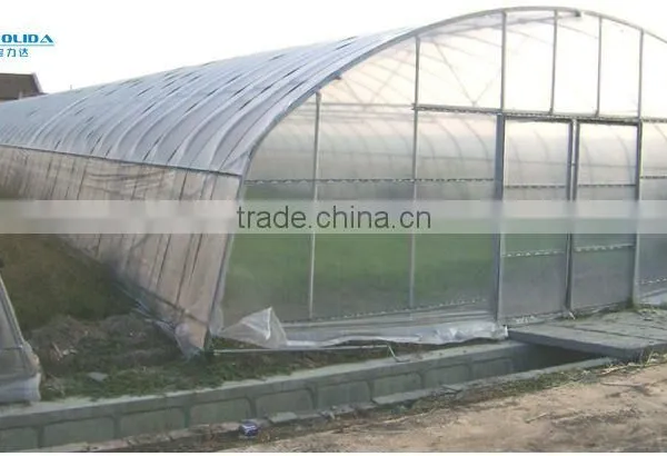 Tunnel Greenhouse photo-5