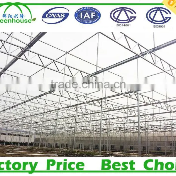 Commercial Metalic Greenhouse photo-4