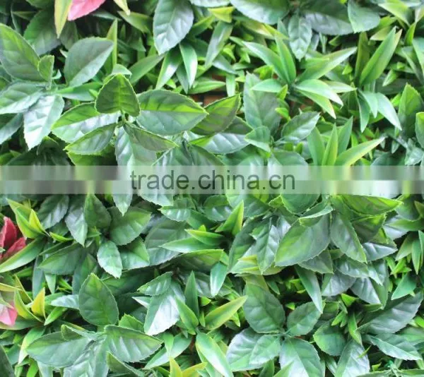 Green Wall System Vertical Hanging Garden Grass Wall With Planter photo-6