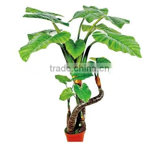 SJ0301115 Ornamental Landscaping Aquarium Plants Garden Decorative Green Plants photo-2