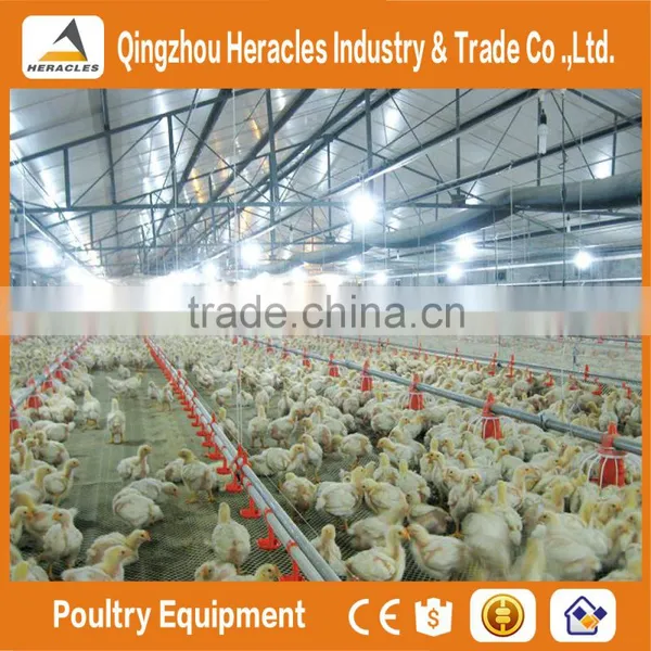 Hot Sale in China Poultry Farming Equipmentl -flooring Feed Pan and Drinking Nipple photo-4