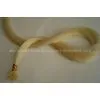 Fusion Hair Extension