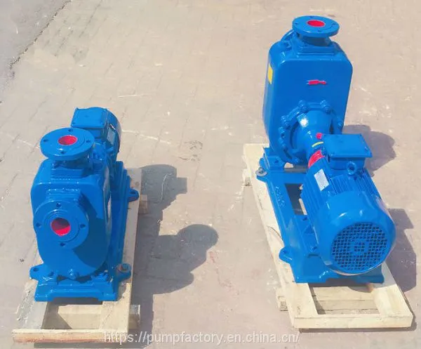 Professional Self-priming Sewage Water Pump photo-3