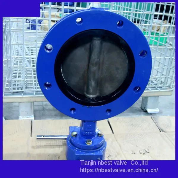 U Type Double Flange Connection Butterfly Valve 1.4529disc photo-5