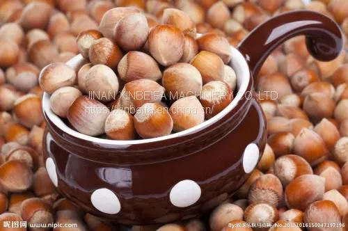 Hazelnut Drying Machine photo-4
