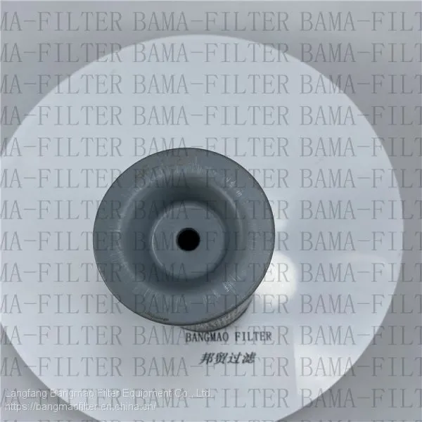 BANGMAO Replacement PARKER Stainless Steel Hydraulic Oil Filter Element 938778Q photo-2