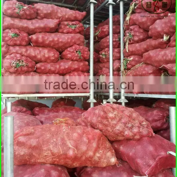 Little Red Onion Exports Southeast Asia/dubai/Fresh Onions photo-2