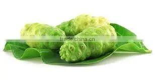 More Healthy and Energy Noni Powder at Your Door Step photo-3