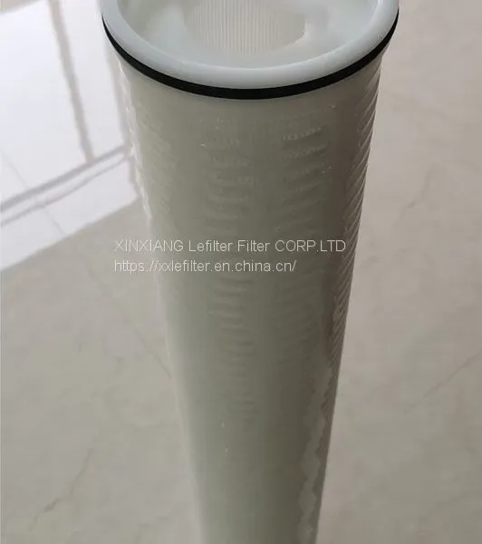 Industry High Flow Filter Cartridge HFU640GF020H13 photo-4