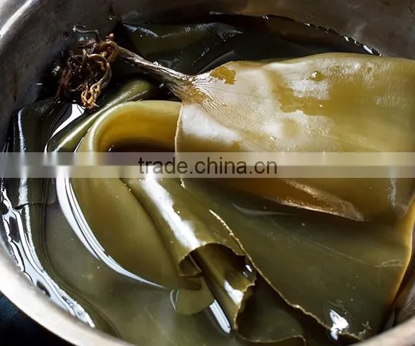 Big Sheet Fresh Water Washed Roasted Processing Dried Kelp Seaweed photo-4