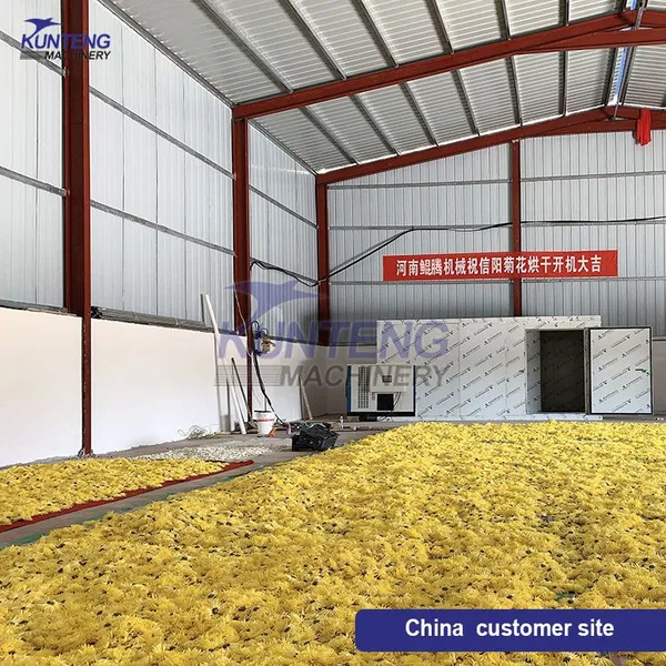 Green Tea Flower Tea Herb Tray Drying Room Black Tea Chrysanthemum Dryer EPC photo-2