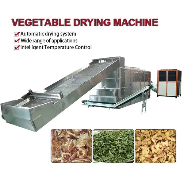 Industrial Heat Pump Onion Parsley Cilantro Coriander Dryer Machine Automatic Vegetable Herb Dehydrator Drying Plant EPC