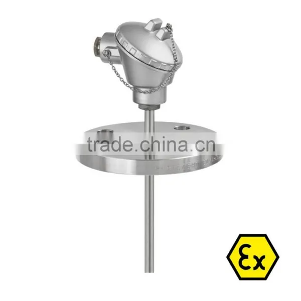 Sensor With Flange and Extention Tube