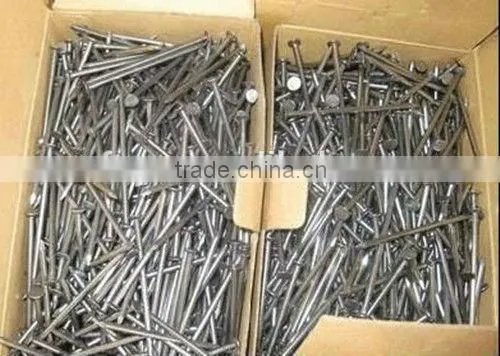High Quality and Low Price Polished Wire Nail Made in China Supplier photo-2