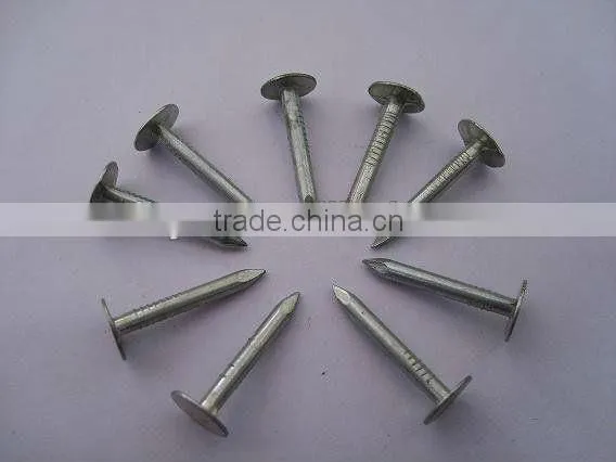 Big Head Clout Nail photo-3