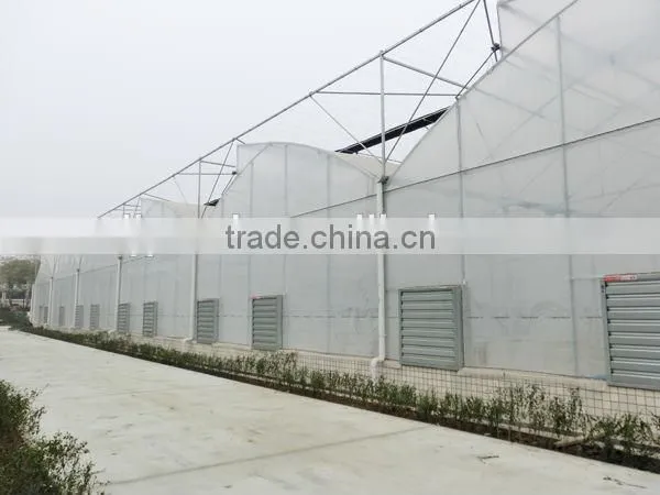 Agricultural Plastic Houses photo-2