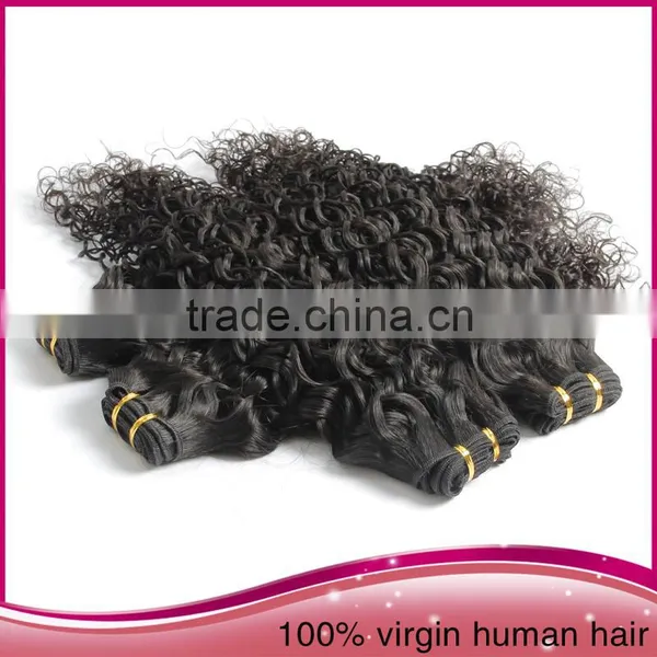 Wholesale Unprocessed Brazilian Human Hair Extension, Afro Women Kinky Curly Human Hair Extension photo-2