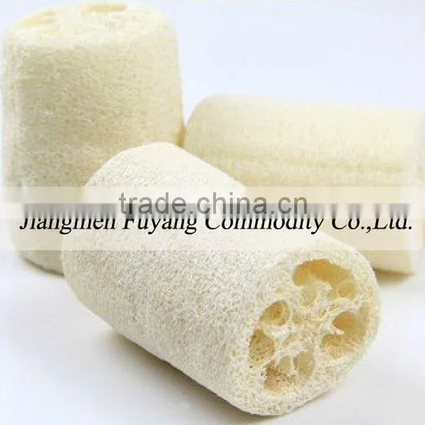 Natural Loofah Brush