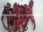 Byadgi Chillies photo-2