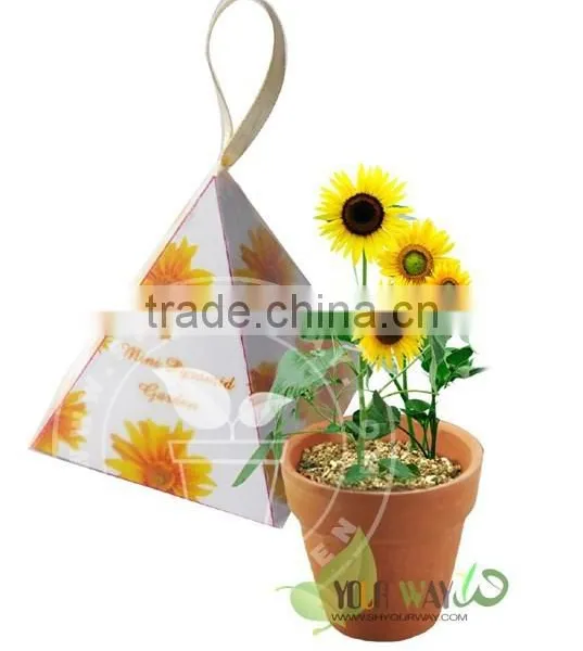 Mini Pyramid Garden, Flower Garden,lavender photo-3
