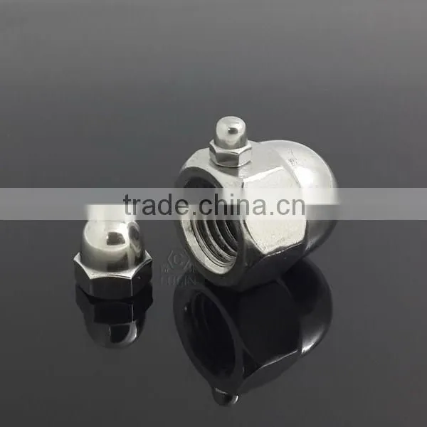 Stainless Steel Hex Cap Nut / Hexagon Cap Nut