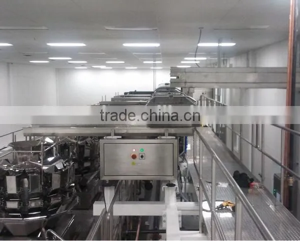 Fast Back Horizontal Motion Conveyor Design for Potato Chips Conveying photo-4
