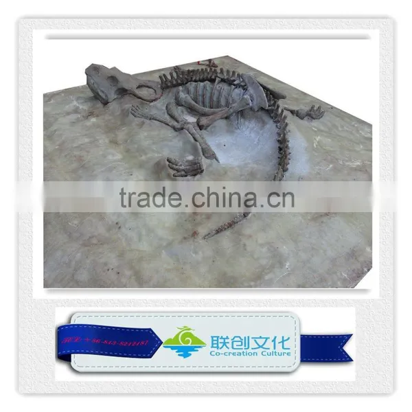 High Quality Original Size Dinosaur Fossil photo-4