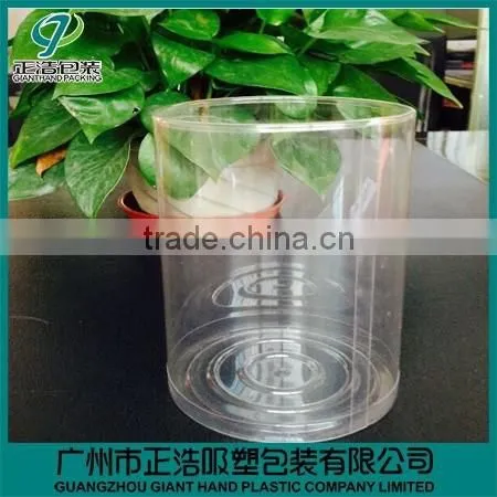 Custom Transparent PET Plastic Box With Hanger