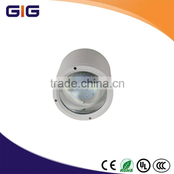 New Style 30W Die Casting Aluminum Led Down Lighting photo-4