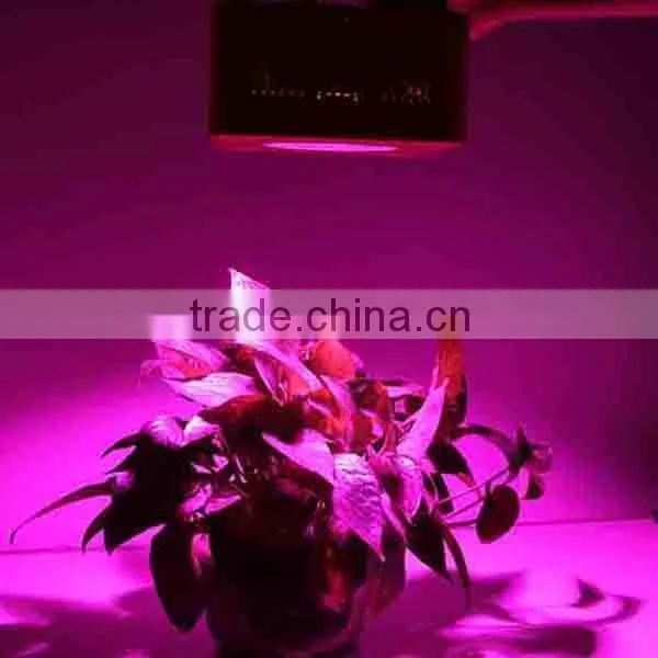 Full Spectrum 3w Led Grow Light All Red Bloom photo-5
