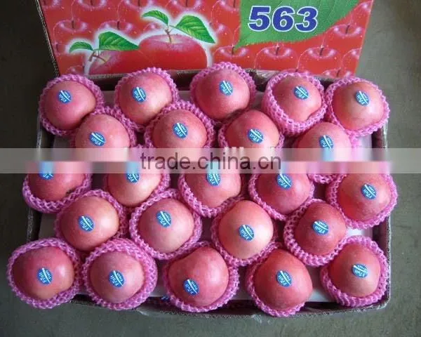 China Fresh Fruit photo-2