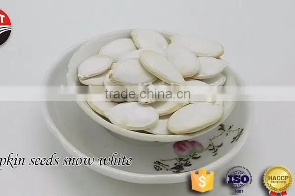 2016 New Pumpkin Seeds SNOW WHITE
