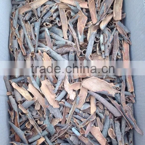 VIETNAMESE SUPPLIER OF BROKEN CINNAMON / CASSIA, GOOD QUALITY, COMPETITIVE PRICE photo-5