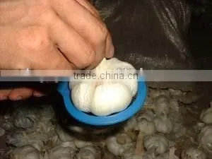 Best Offer Chinese Fresh Normal White Garlic