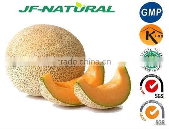 100% Natural Hami Melon Powder Water-soluble Powder photo-2