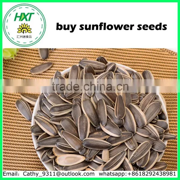 Nice Quality Snacks Buy Sunflower Seeds for Human Cunsumption photo-4
