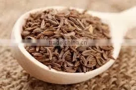 CARAWAY ESSENTIAL OIL photo-6