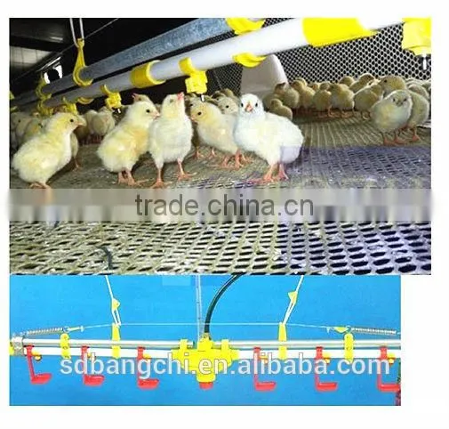 Poultry Automatic Nipple Drinking System