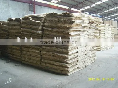 12mm FILM FACED PLYWOOD photo-3