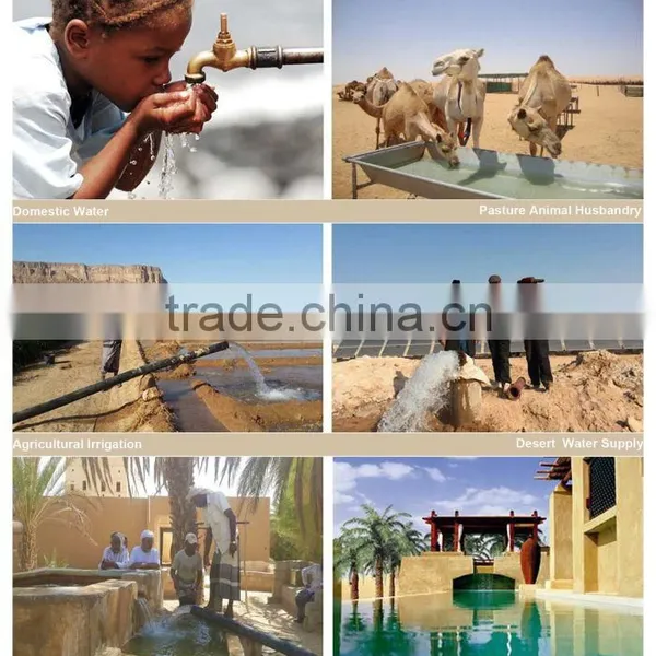China AC Solar Powered Submersible Water Pump Three Phase Solar Pump China photo-5