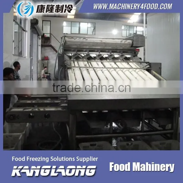 Small Fish And Shrimp Grading Machine photo-4