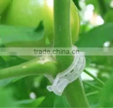 2017 New Garden Plant Tomato Clip Plastic Clip