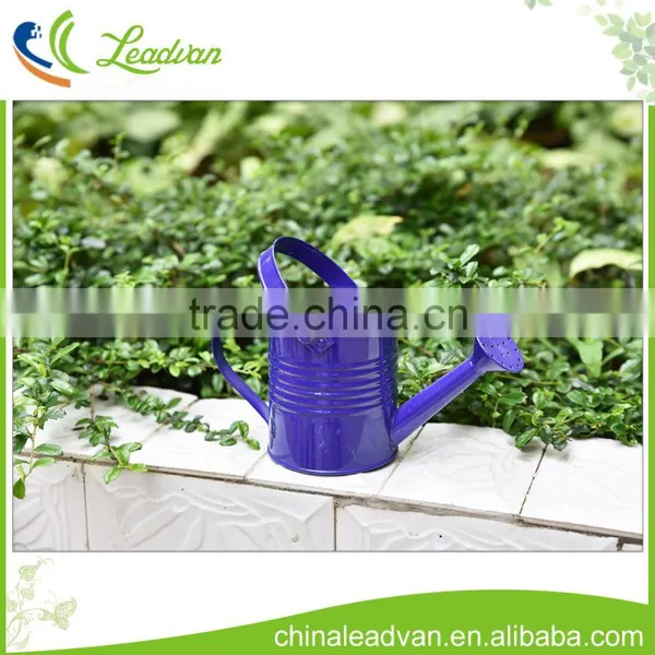 New Design Decorative Small Metal Flower Watering Can for Gardening Tools photo-6
