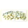 Frozen Chestnuts