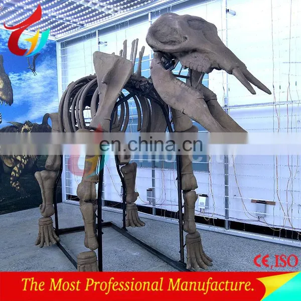 3m Length Life Size Fibrglass Realistic T-rex Dinosaur Fossils photo-3