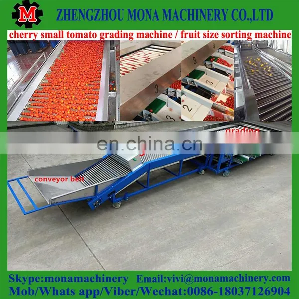 Size Fruit Sorting Machine by Fruit Diameter / Small Size High Speed Fruit Grading Machine photo-2