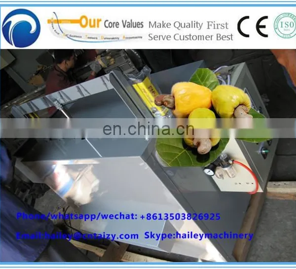 Automatic Cashew Nut Kernels and Shells Separator Machine/cashew Nut Shelling Machine/cashew Nut Processing Machine photo-4