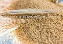 Хлорид холина 60% на кукурузном колосочке