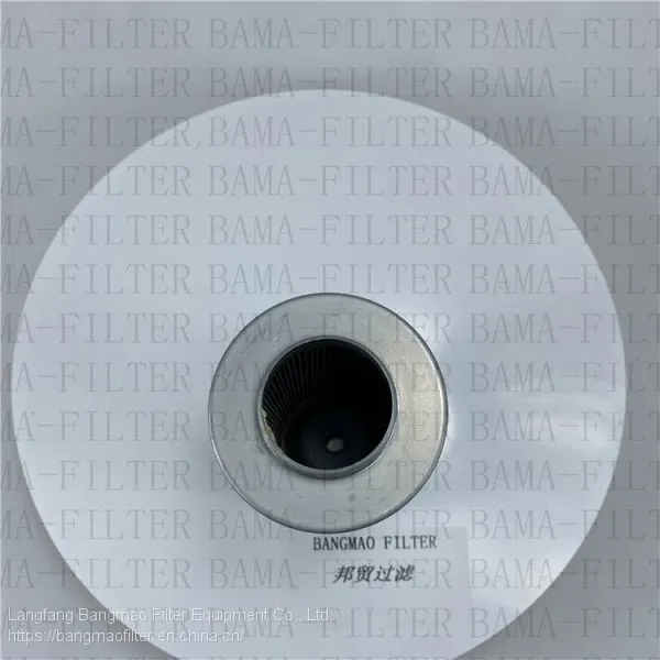 BANGMAO Replacement FLEETGUARD Hydraulic Filter Element HF125M Hydraulic Filter