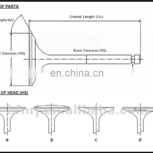 Car Spare Parts Inlet and Exhaust Engine Valve for Nisan QR25DE 132018H300 132026N200 photo-6
